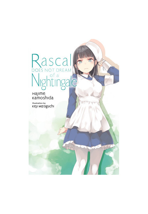 Rascal Does Not Dream of a Nightingale, Vol. 11