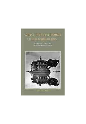 Wild geese returning : Chinese reversible poems