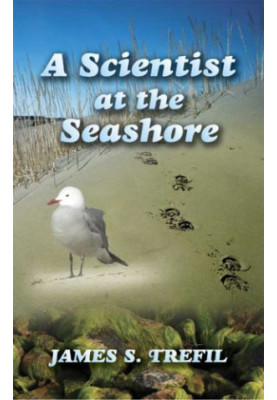 A scientist at the seashore