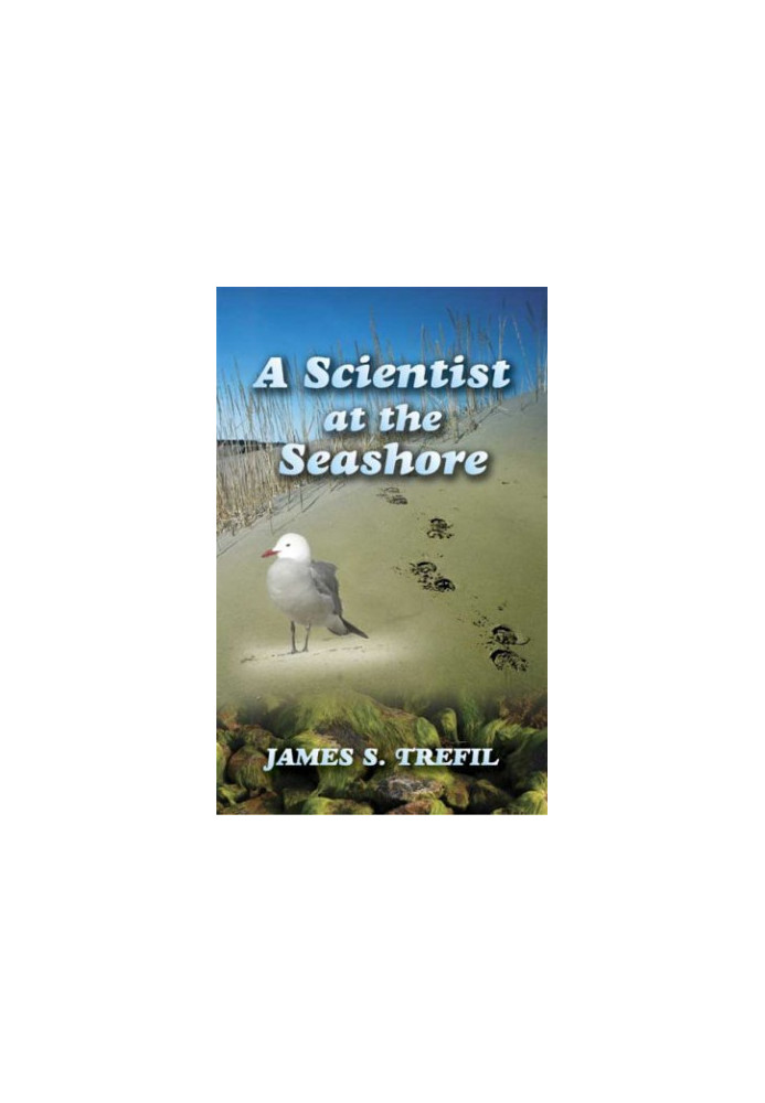 A scientist at the seashore