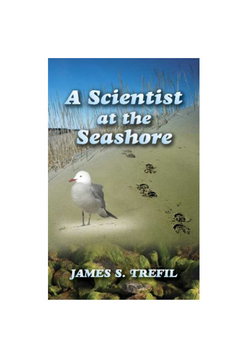 A scientist at the seashore