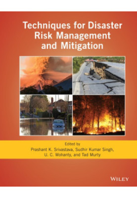 Techniques for disaster risk management and mitigation