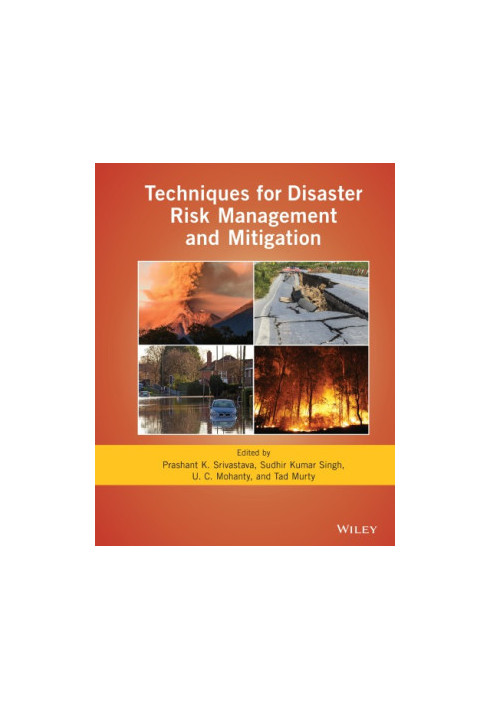 Techniques for disaster risk management and mitigation