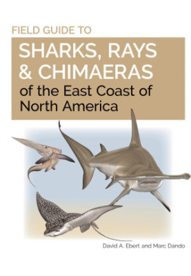Field Guide to Sharks, Rays & Chimaeras of Europe and the Mediterranean