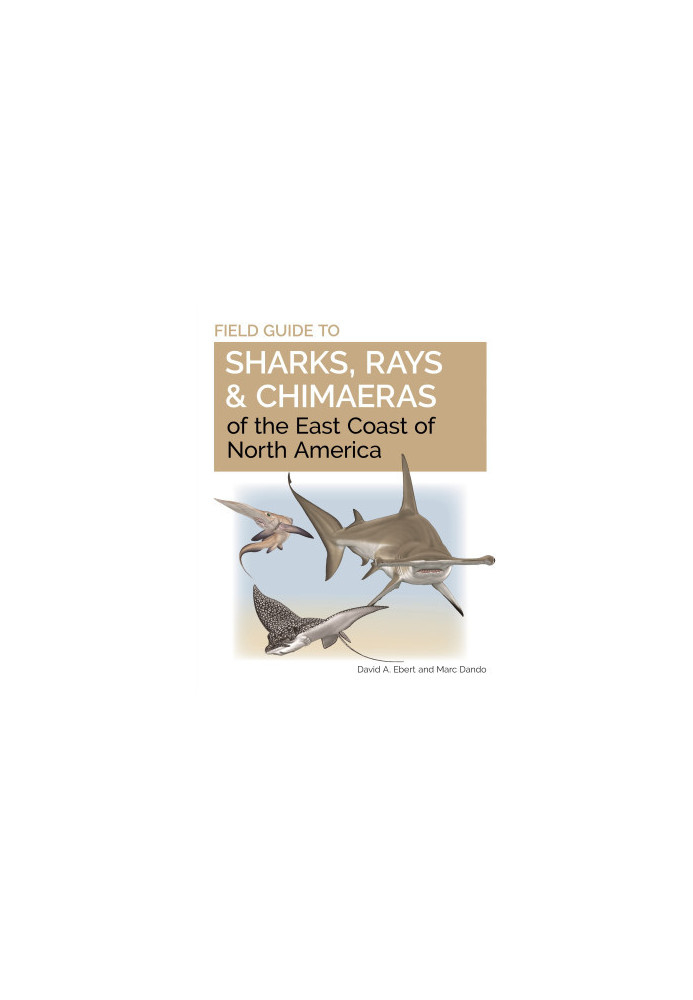Field Guide to Sharks, Rays & Chimaeras of Europe and the Mediterranean