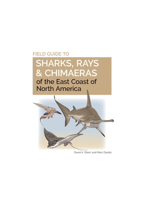 Field Guide to Sharks, Rays & Chimaeras of Europe and the Mediterranean