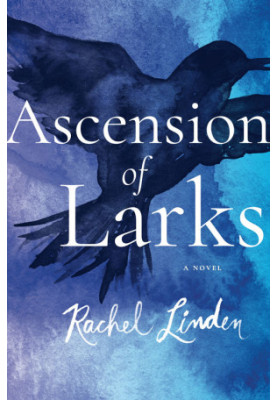 Ascension of Larks