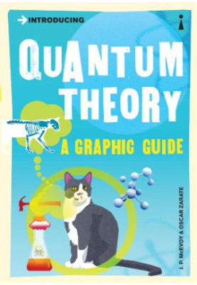 Introducing Quantum Theory: A Graphic Guide