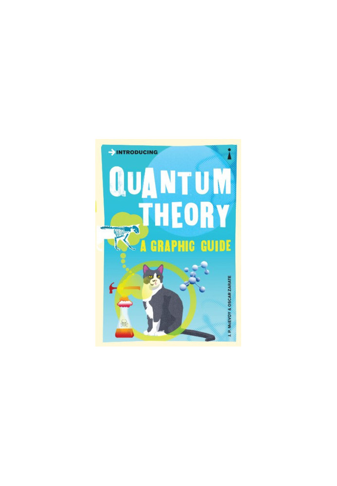 Introducing Quantum Theory: A Graphic Guide