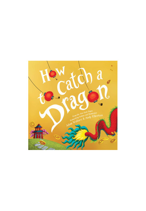 How to Catch a Dragon
