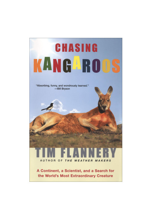 Chasing Kangaroos