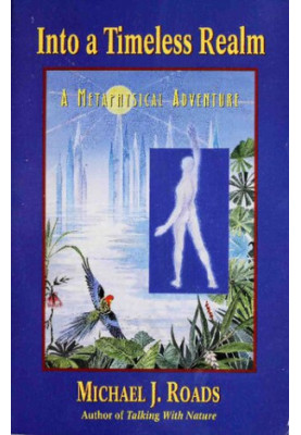 Into a Timeless Realm: A Metaphysical Adventure