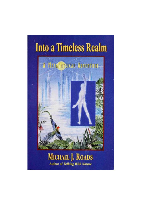 Into a Timeless Realm: A Metaphysical Adventure