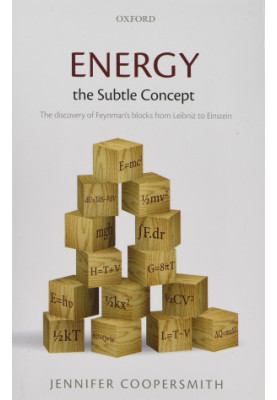Energy, the Subtle Concept: The Discovery of Feynman's Blocks from Leibniz to Einstein