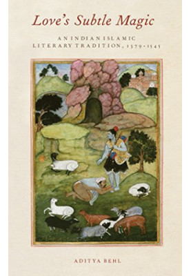 Love's subtle magic : an Indian Islamic literary tradition, 1379-1545