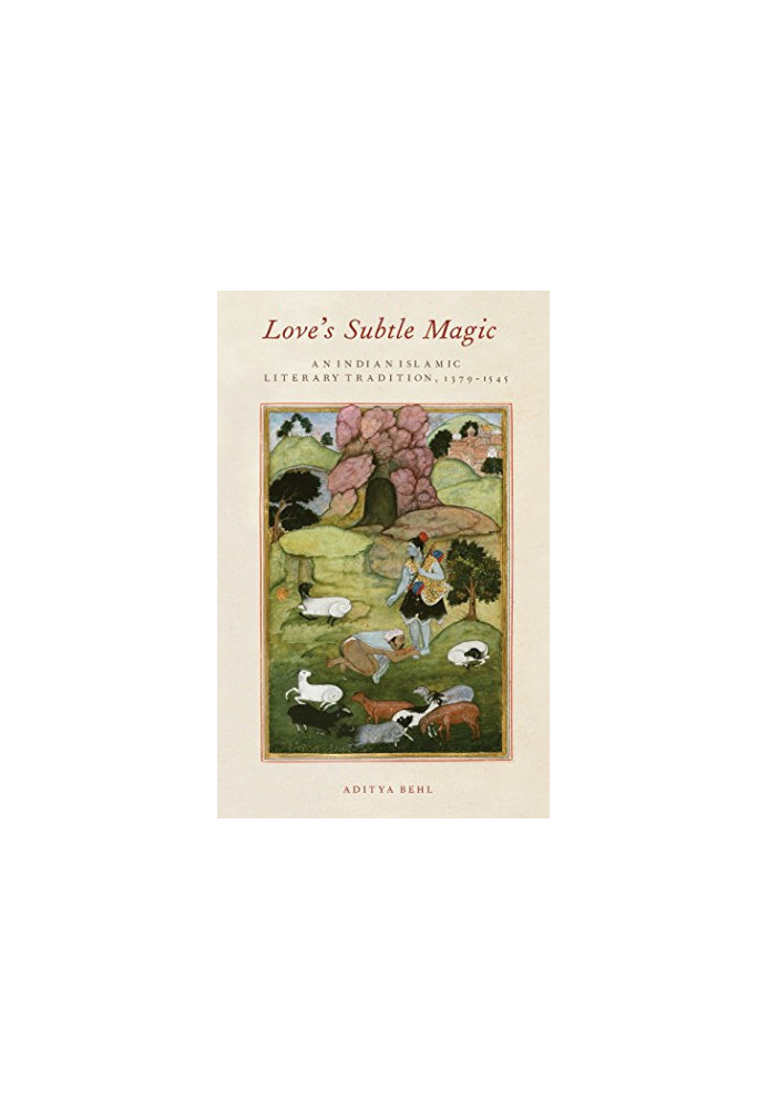 Love's subtle magic : an Indian Islamic literary tradition, 1379-1545