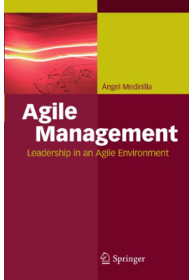 Agile Management: Leadership in an Agile Environment