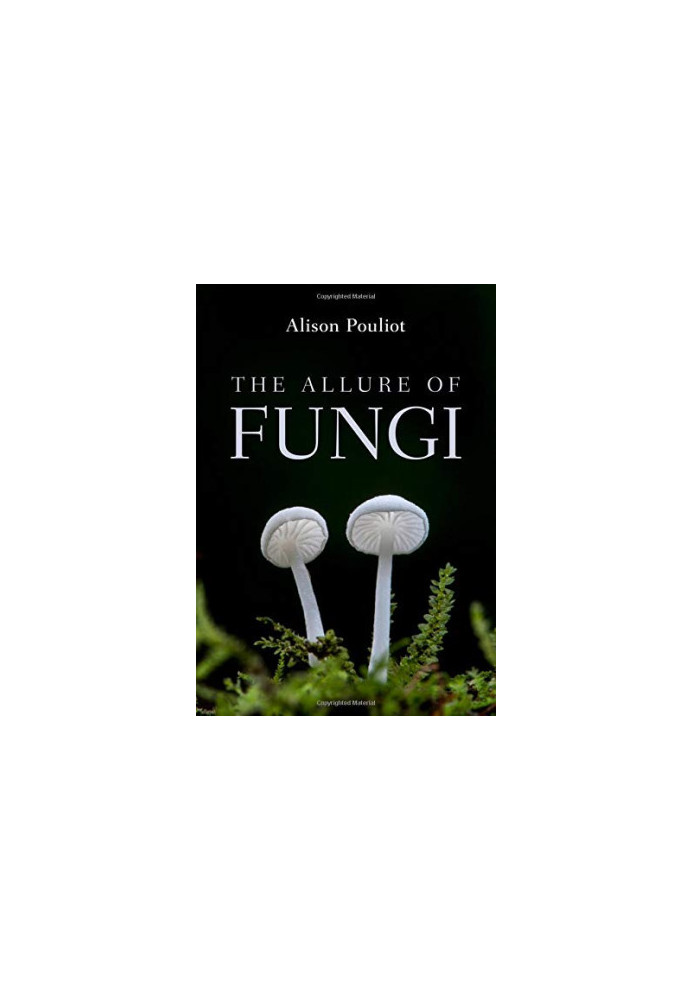 The Allure of Fungi