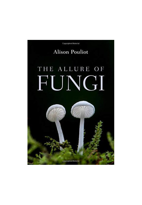 The Allure of Fungi