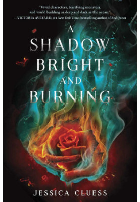A Shadow Bright and Burning (Kingdom on Fire 1)