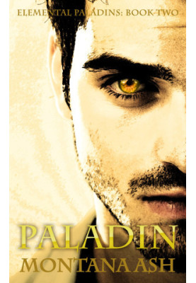 [Elemental Paladins 01] • Warden