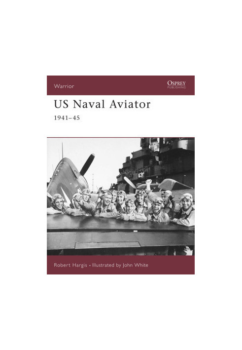 US Naval Aviator: 1941-45