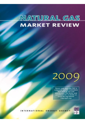 Natural Gas Market Review 2009