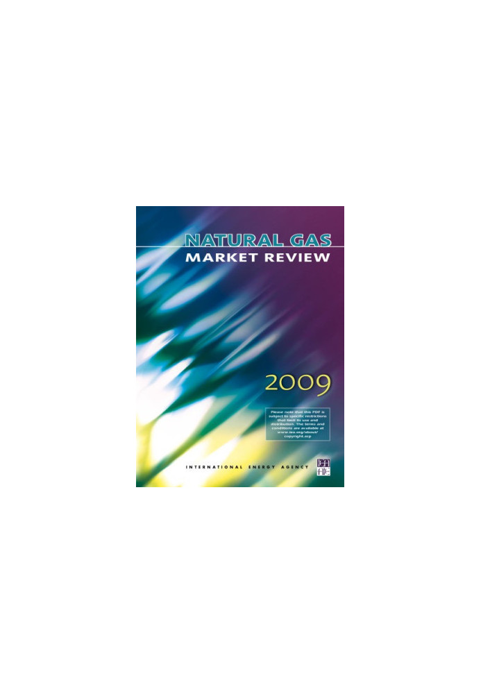 Natural Gas Market Review 2009
