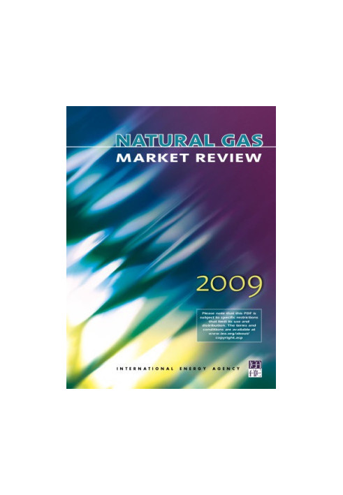 Natural Gas Market Review 2009