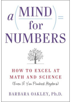 A Mind For Numbers
