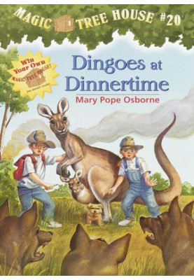 Dingoes at Dinnertime