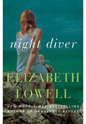 Night Diver