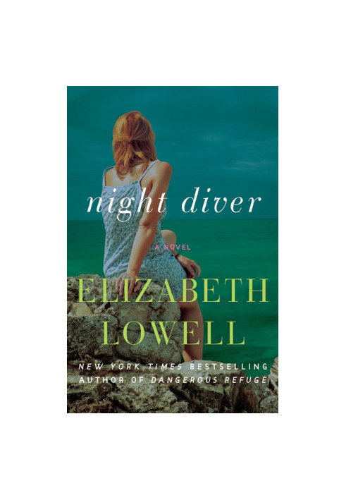 Night Diver