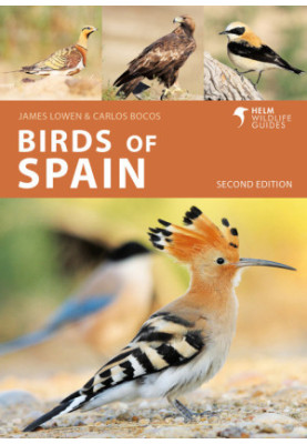 Birds of Spain