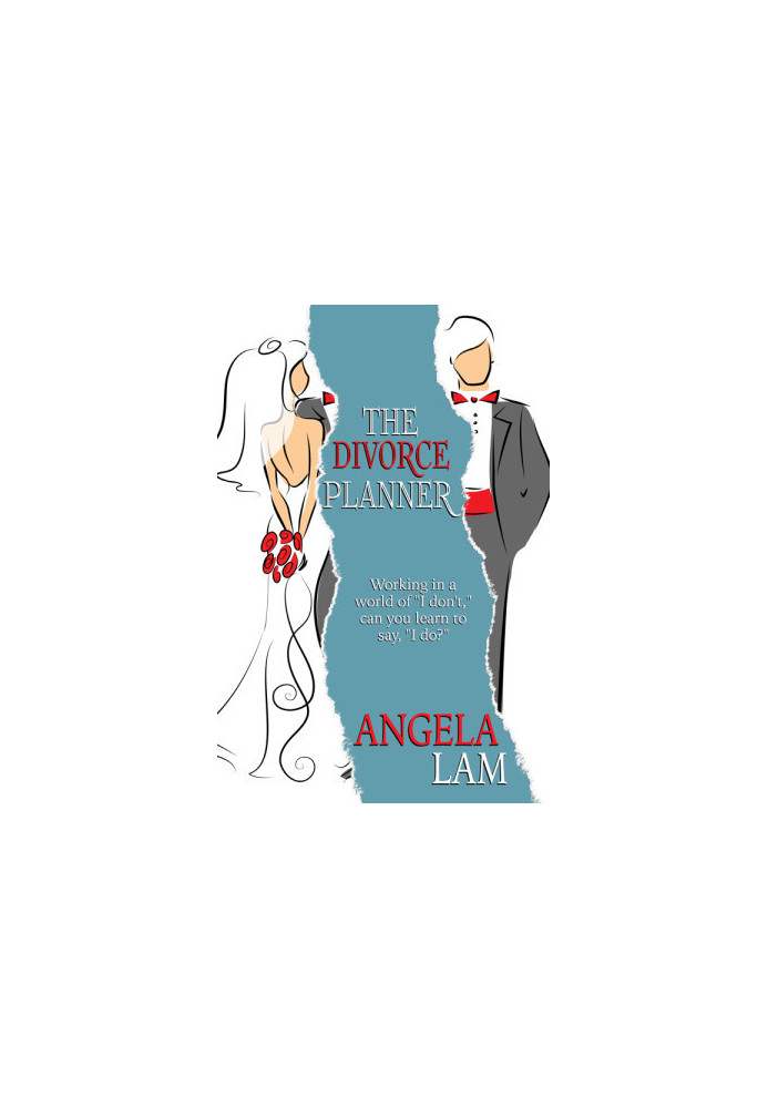 The Divorce Planner