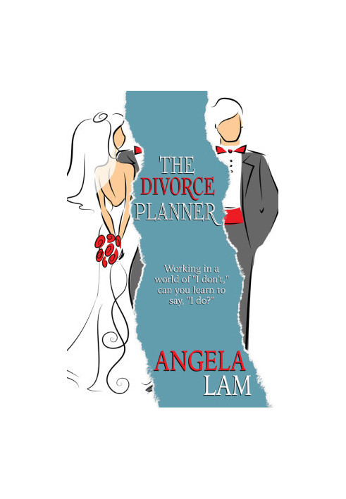 The Divorce Planner