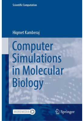 Computer Simulations in Molecular Biology