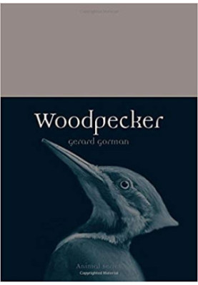 Woodpecker