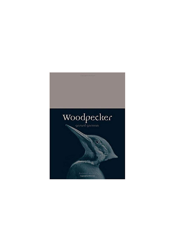 Woodpecker