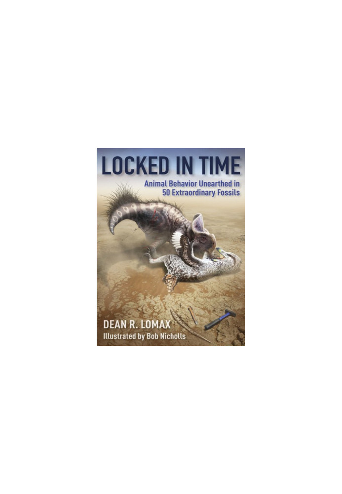 Locked in Time