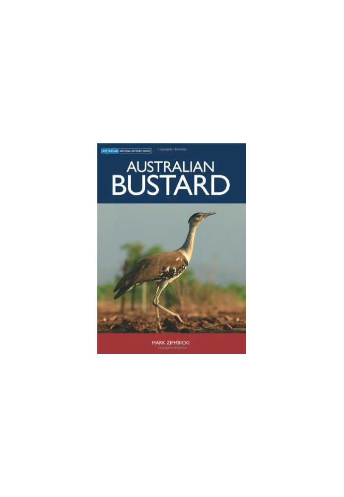 Australian Bustard (Australian Natural History)