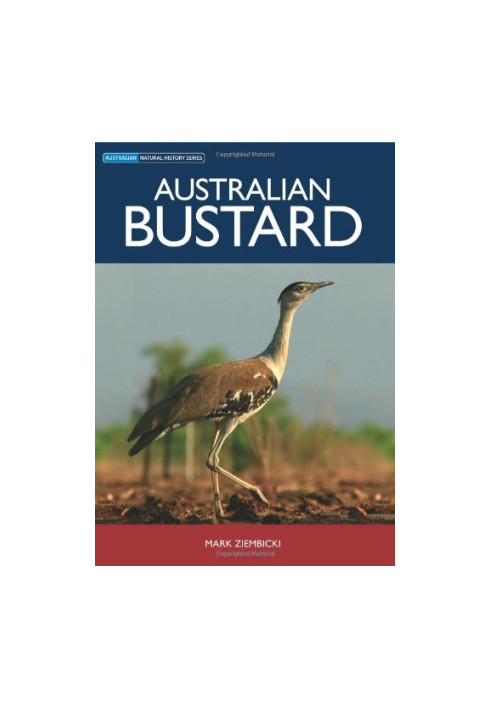 Australian Bustard (Australian Natural History)