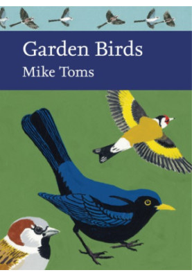 Garden Birds