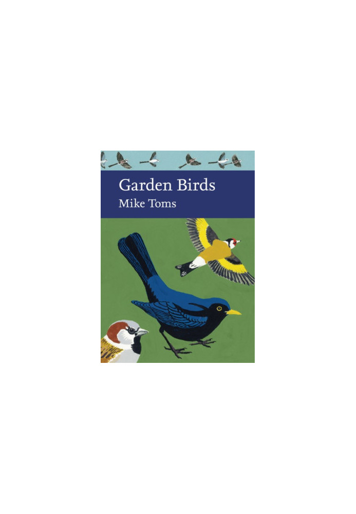 Garden Birds