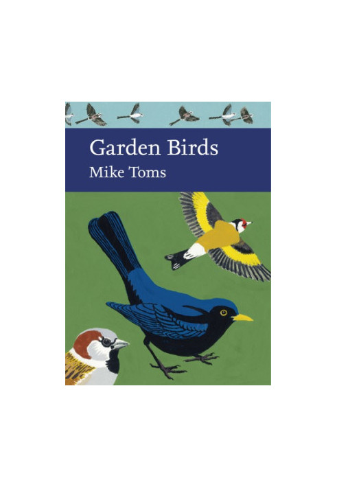 Garden Birds