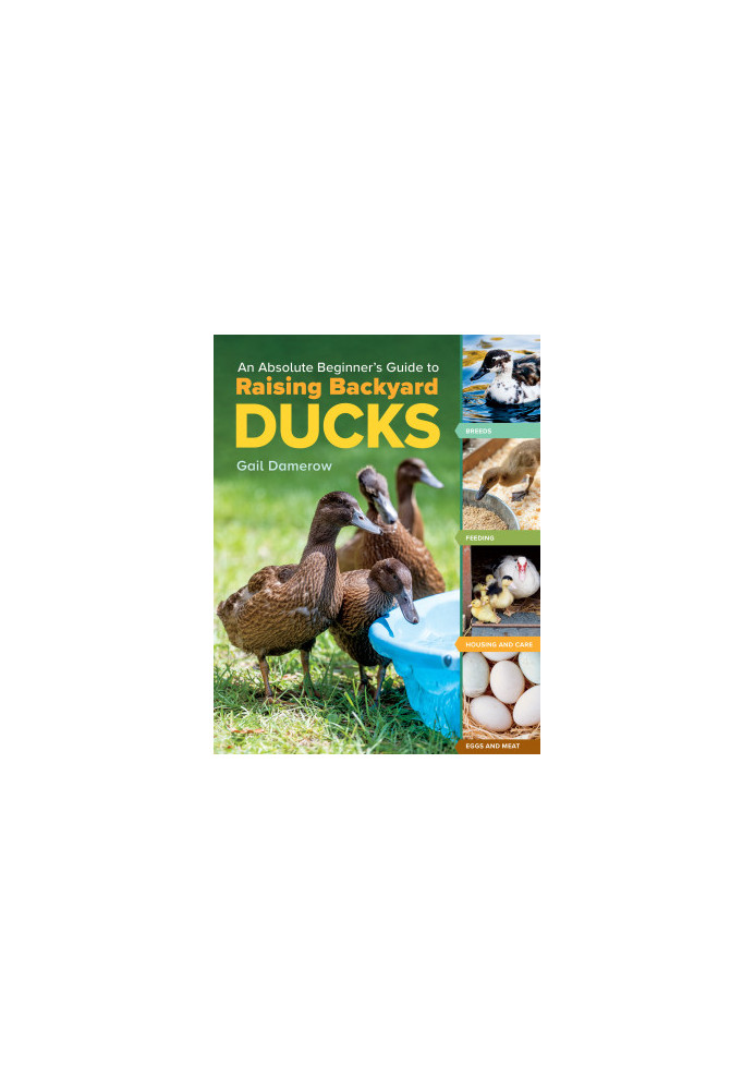 An Absolute Beginner's Guide to Raising Backyard Ducks