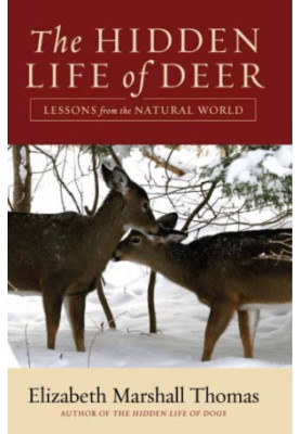 The Hidden Life of Deer