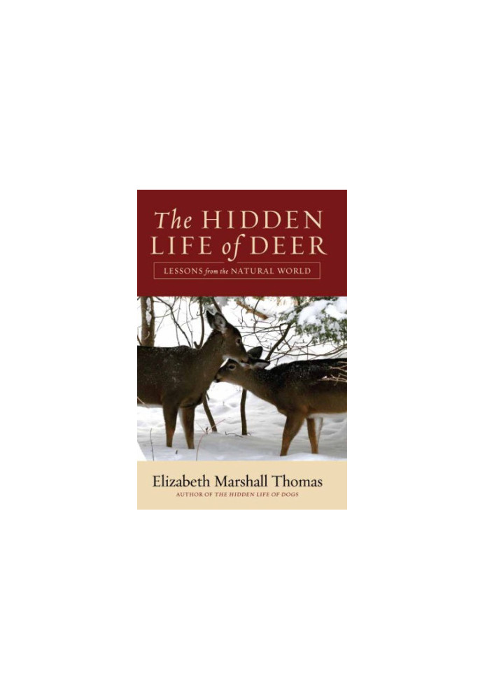 The Hidden Life of Deer