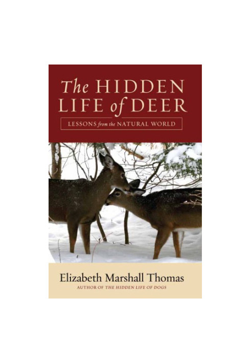 The Hidden Life of Deer