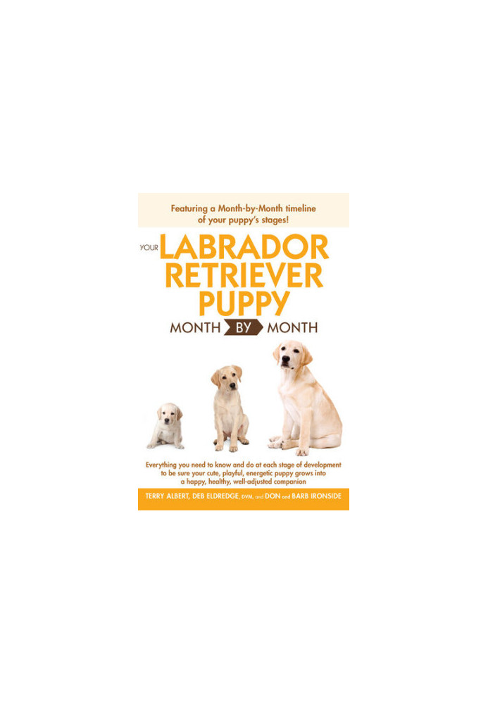 Your Labrador Retriever Puppy Month by Month